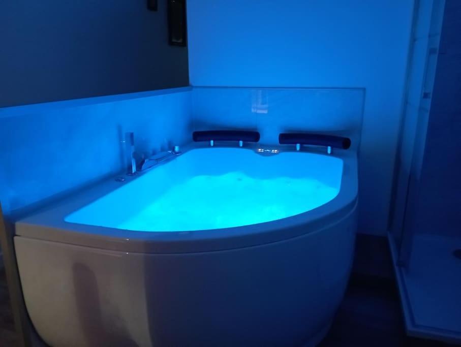 Sejour Sauna Et Jacuzzi Cocon La Roche-sur-Yon Extérieur photo