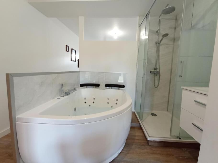 Sejour Sauna Et Jacuzzi Cocon La Roche-sur-Yon Extérieur photo
